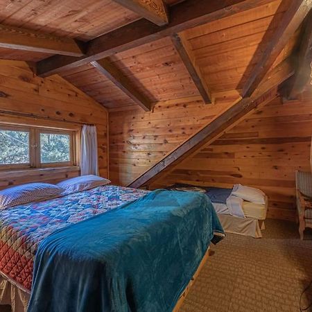 Forest Cabin 3 Bear'S Den Payson Exteriér fotografie